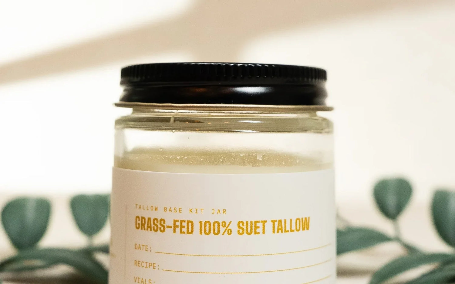 The fatty acids in tallow, in plain English
