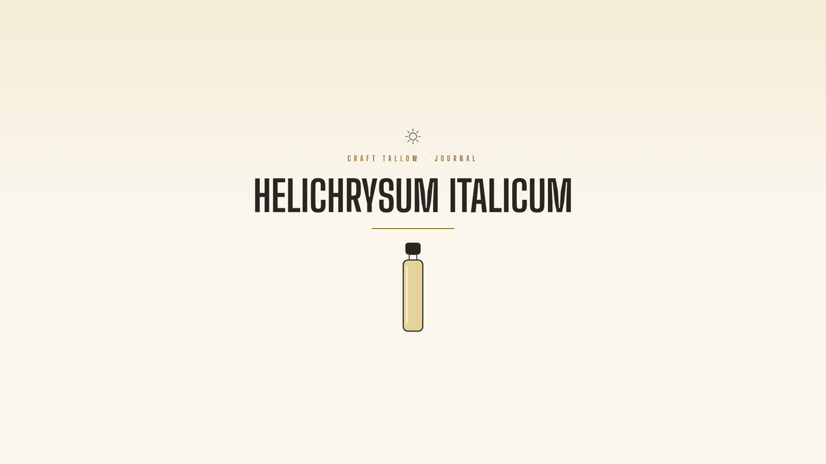 Craft Tallow Journal cover for Helichrysum Italicum, a gold vial illustration on cream