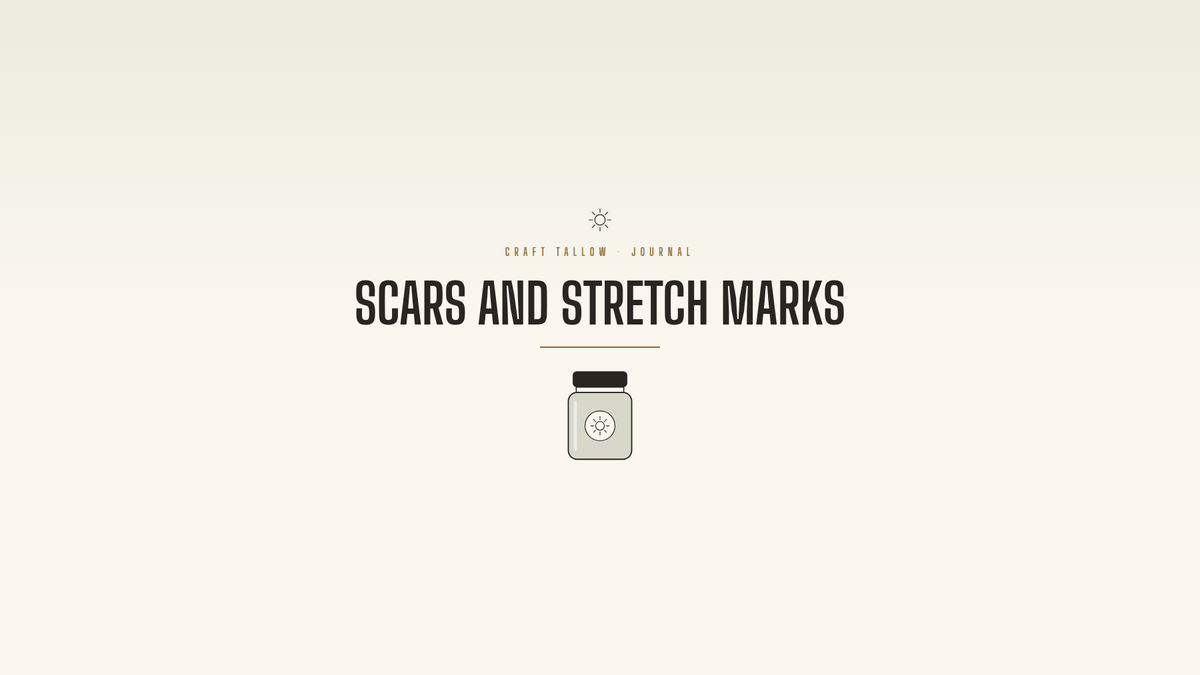Craft Tallow Journal cover for Scars and Stretch Marks, a green balm jar illustration on cream