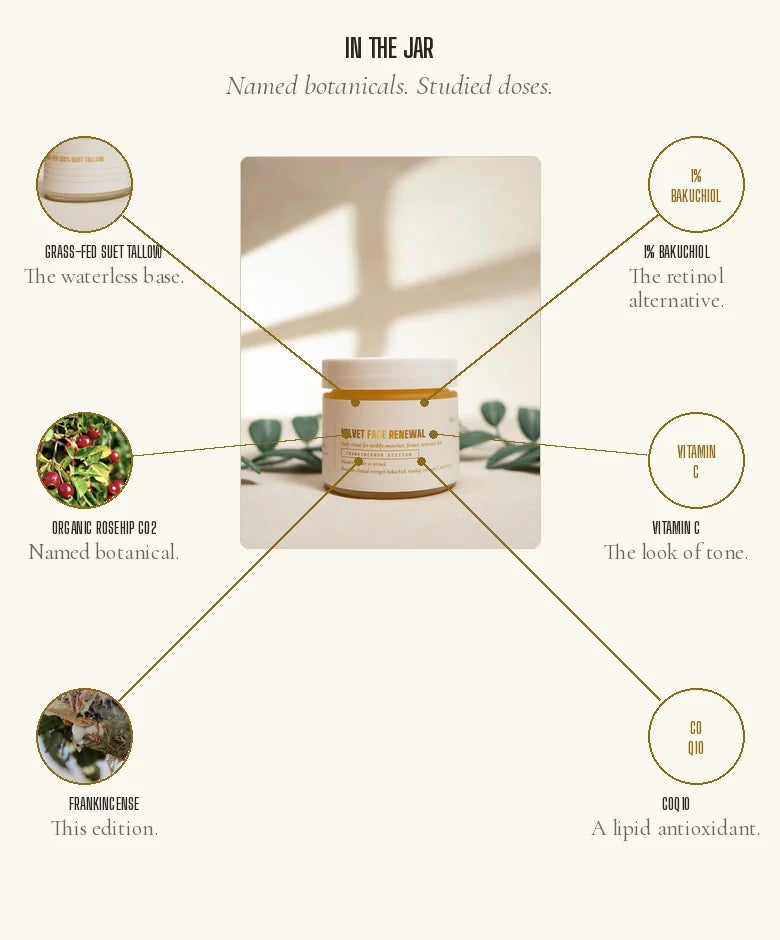 Velvet Face Renewal jar with named ingredients: suet tallow, 1% bakuchiol, rosehip, vitamin C, frankincense, CoQ10